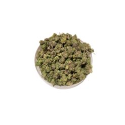 White Tahoe Cookies Smalls (AA++)