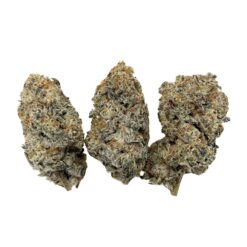 Gorilla Gum (AAAA)