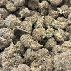 Alternative view of MAC1 Smalls (AAA+)
