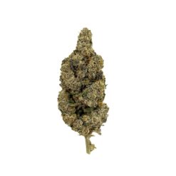 White Runtz (AAA+)