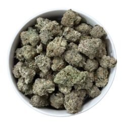 Grease Monkey (AAA+)