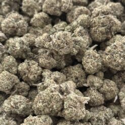Alternative view of Forbidden Gusherz (AAAA)