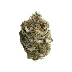 Super Jet Fuel (AAA+)