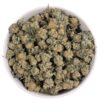 White Tahoe Cookies Smalls (AA++)