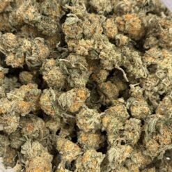 Alternative view of White Tahoe Cookies Smalls (AA++)