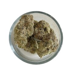 Alternative view of Gassious Clay (RARE AAAA+)