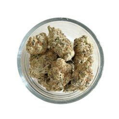 Alternative view of Sirius Cookies (RARE AAAA+)