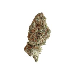 Orange Chemsicle (RARE AAAA+)